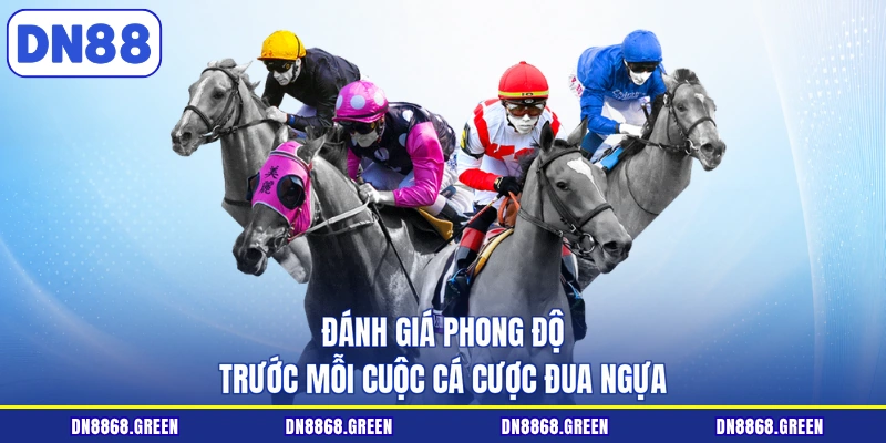 Đánh giá phong độ trước mỗi cuộc cá cược đua ngựa