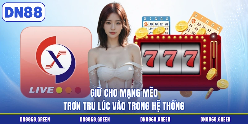 Giữ cho mạng mẽo trơn tru lúc vào trong hệ thống